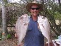Fish Photos Fish Photos