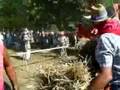 threshing-baling-mac