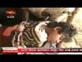 videos de LTTE terrorists suicide bomb attack on Tamil civilians -  Kilinochchi