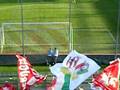 Perugia-Taranto 3-0 (chi non salta è un ternano)