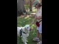 Class 2 retrieve