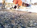 MOV00177 MOV00177