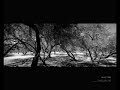 Nino Lopez - Experience