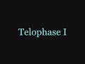 A video I made for a project in biology. Yes, it took a long time. I used photoshop elements to make like 10-20 pictures per step in meiosis and faded them all together in Windows Movie Maker. Enjoy! The first song is 