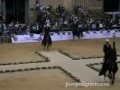 Arafat del Punto