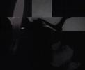 Dust Da Divisive - Sound Waves