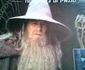 Parodia Gandalf Saruman