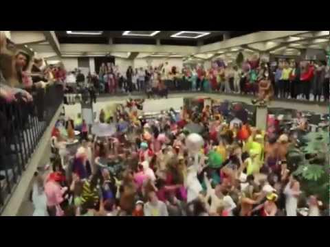 Best College Harlem Shake Videos – Maryland / Texas / Oregon / Colorado