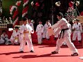 tae kwan do