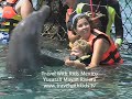 Mexico Cancun With Kids - Travel With Kids Yucatan Maya