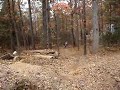 Kaleb Stamey jumping 50 foot triple on 250f Kaleb Stamey jumping 50 foot triple on 250f