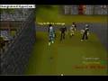 DigitalScape Stupid Vid