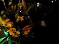 ROCA SOLIDA - BUSCANDO UNA RAZON