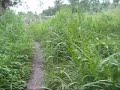 Sunday Stroll on Vorovoro
