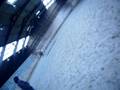 videos de cheval cours dobstacle