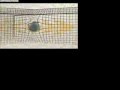 PES6 Freestyle Football Billy Wingrove