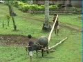 subanen