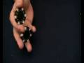 Poker Chip trick - Shuffel - Thumb Roll - Twirl - Pickover Poker Chip trick - Shuffel - Thumb Roll - Twirl - Pickover