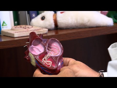 Imagen de previsualización de YouTube