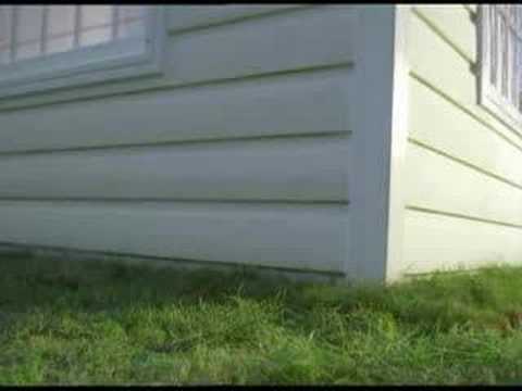 citroen c3 citroen c3