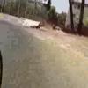 Too Fast in Petach Tikvah Too Fast in Petach Tikvah