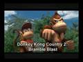 DKC2: Bramble Blast Stickerbrush Symphony [Edo]