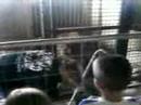 Tiger Sanctuary