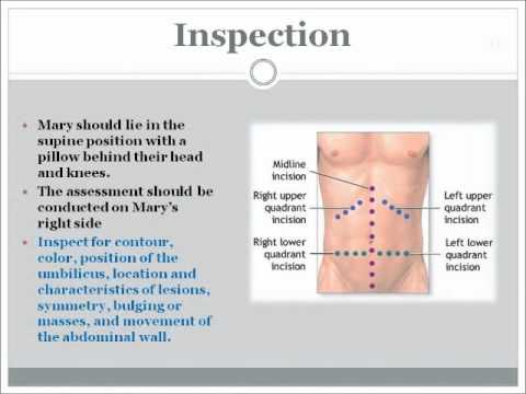 how to assess abdomen