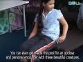 Ocean Park Animal Month -- In High Definition  海洋公園高清動物月