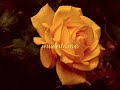 Marco Antonio Solis - Inventame (lyrics)