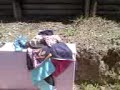 The samzie and emzie show- pool toys && fishing