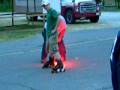 rocket skates