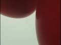 Meet The Many 11