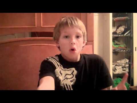 how to turn off a zhu zhu pet