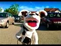 Pets.com Please Don\