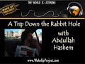 rabbA Trip Down the Rabbit Hole Contd (6 of 6)
