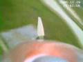 videos de crash.wmv