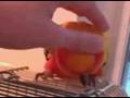 videos de chai(The sun conure)