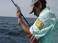 St.Pete Fl Grouper Fishing , fatcatfishingcharters.com