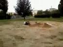 Pajda Superbike Jumper