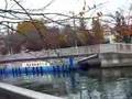 深川界隈(２)
