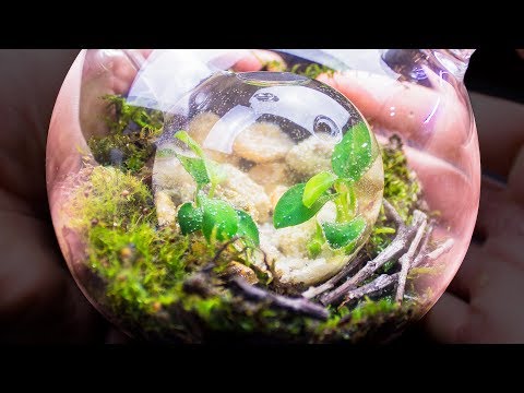 YouTube reptile video