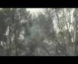Bushfire-Mt-Kuring-g