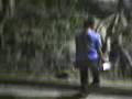 videos de chale caida