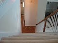 Tennis Ball Stampede Tennis Ball Stampede