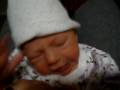 videos de Don't Cry Zoey