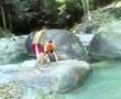 taman rimba teluk bahang