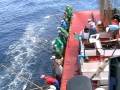 Fishing History