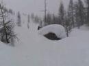 snow is cool.