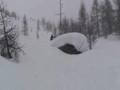 snow is cool.